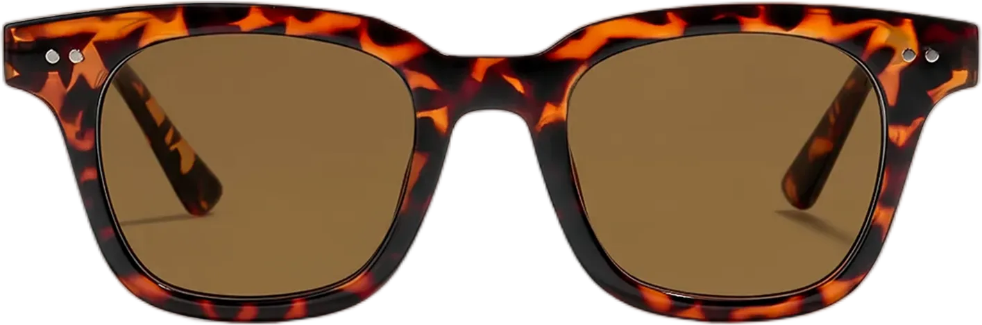 Vigour in Tortoise frame / Brown lens